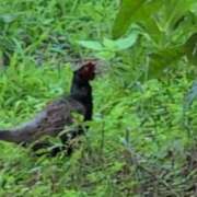 ヒメ日記 2025/06/20 07:38 投稿 さつき 熟女の風俗最終章 沼津店