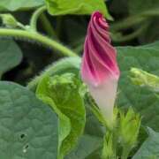 ヒメ日記 2025/06/21 19:28 投稿 さつき 熟女の風俗最終章 沼津店