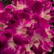 ヒメ日記 2025/06/21 20:28 投稿 さつき 熟女の風俗最終章 沼津店