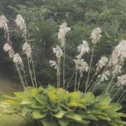 ヒメ日記 2025/06/22 08:08 投稿 さつき 熟女の風俗最終章 沼津店