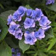 ヒメ日記 2025/06/25 16:08 投稿 さつき 熟女の風俗最終章 沼津店