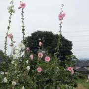 ヒメ日記 2025/06/25 17:00 投稿 さつき 熟女の風俗最終章 沼津店