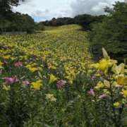 ヒメ日記 2025/06/26 09:58 投稿 さつき 熟女の風俗最終章 沼津店