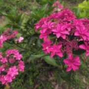 ヒメ日記 2025/06/27 17:56 投稿 さつき 熟女の風俗最終章 沼津店