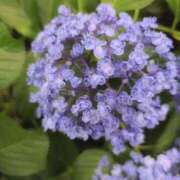 ヒメ日記 2025/06/27 19:50 投稿 さつき 熟女の風俗最終章 沼津店