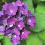 ヒメ日記 2025/06/27 20:01 投稿 さつき 熟女の風俗最終章 沼津店