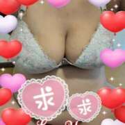 ヒメ日記 2025/06/29 11:42 投稿 さつき 熟女の風俗最終章 沼津店