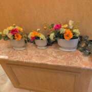 ヒメ日記 2025/06/30 06:08 投稿 さつき 熟女の風俗最終章 沼津店