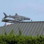 ヒメ日記 2025/06/30 13:48 投稿 さつき 熟女の風俗最終章 沼津店