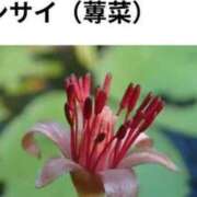 ヒメ日記 2025/07/01 10:38 投稿 さつき 熟女の風俗最終章 沼津店