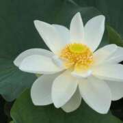 ヒメ日記 2025/07/02 07:08 投稿 さつき 熟女の風俗最終章 沼津店