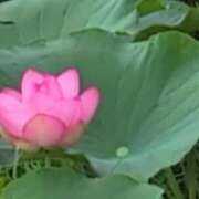 ヒメ日記 2025/07/02 10:58 投稿 さつき 熟女の風俗最終章 沼津店