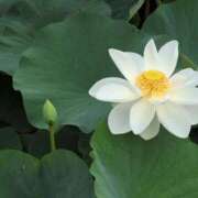 ヒメ日記 2025/07/02 12:55 投稿 さつき 熟女の風俗最終章 沼津店