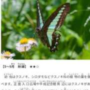 ヒメ日記 2025/07/02 13:58 投稿 さつき 熟女の風俗最終章 沼津店