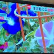 ヒメ日記 2025/07/06 17:53 投稿 さつき 熟女の風俗最終章 沼津店