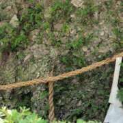 ヒメ日記 2025/07/07 12:58 投稿 さつき 熟女の風俗最終章 沼津店