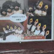 ヒメ日記 2025/07/08 19:28 投稿 さつき 熟女の風俗最終章 沼津店