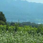 ヒメ日記 2025/07/08 19:39 投稿 さつき 熟女の風俗最終章 沼津店