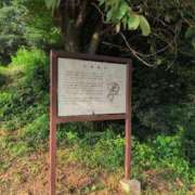 ヒメ日記 2025/07/09 18:48 投稿 さつき 熟女の風俗最終章 沼津店