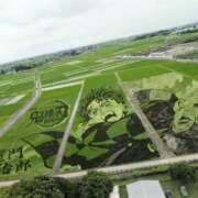 ヒメ日記 2025/07/11 11:58 投稿 さつき 熟女の風俗最終章 沼津店