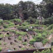 ヒメ日記 2025/07/11 15:58 投稿 さつき 熟女の風俗最終章 沼津店