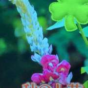 ヒメ日記 2025/07/11 18:08 投稿 さつき 熟女の風俗最終章 沼津店