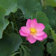 ヒメ日記 2025/07/13 15:15 投稿 さつき 熟女の風俗最終章 沼津店