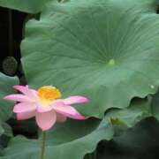 ヒメ日記 2025/07/15 23:48 投稿 さつき 熟女の風俗最終章 沼津店