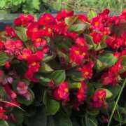 ヒメ日記 2025/07/16 09:58 投稿 さつき 熟女の風俗最終章 沼津店