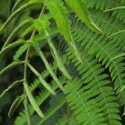 ヒメ日記 2025/07/17 11:08 投稿 さつき 熟女の風俗最終章 沼津店