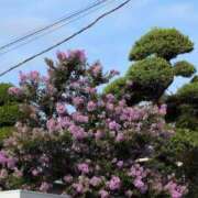 ヒメ日記 2025/07/18 07:28 投稿 さつき 熟女の風俗最終章 沼津店