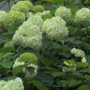 ヒメ日記 2025/07/18 18:08 投稿 さつき 熟女の風俗最終章 沼津店