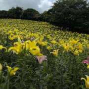 ヒメ日記 2025/07/18 19:28 投稿 さつき 熟女の風俗最終章 沼津店