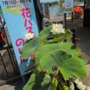 ヒメ日記 2025/07/22 10:58 投稿 さつき 熟女の風俗最終章 沼津店