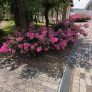 ヒメ日記 2025/07/25 17:58 投稿 さつき 熟女の風俗最終章 沼津店