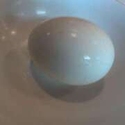 ヒメ日記 2025/07/26 07:45 投稿 さつき 熟女の風俗最終章 沼津店