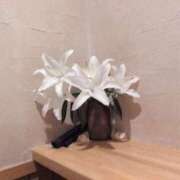 ヒメ日記 2025/07/26 08:48 投稿 さつき 熟女の風俗最終章 沼津店