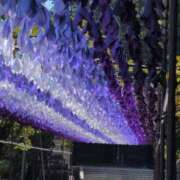 ヒメ日記 2025/07/31 09:08 投稿 さつき 熟女の風俗最終章 沼津店