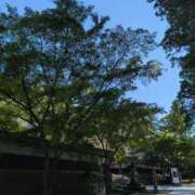 ヒメ日記 2025/07/31 09:48 投稿 さつき 熟女の風俗最終章 沼津店