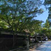 ヒメ日記 2025/08/01 06:58 投稿 さつき 熟女の風俗最終章 沼津店