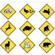 ヒメ日記 2025/08/01 08:49 投稿 さつき 熟女の風俗最終章 沼津店