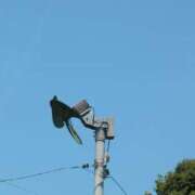 ヒメ日記 2025/08/01 09:08 投稿 さつき 熟女の風俗最終章 沼津店