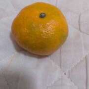 ヒメ日記 2025/08/04 07:19 投稿 さつき 熟女の風俗最終章 沼津店