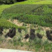 ヒメ日記 2025/08/05 12:28 投稿 さつき 熟女の風俗最終章 沼津店