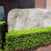 ヒメ日記 2025/08/07 16:38 投稿 さつき 熟女の風俗最終章 沼津店