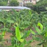 ヒメ日記 2025/08/07 19:29 投稿 さつき 熟女の風俗最終章 沼津店