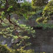 ヒメ日記 2025/08/08 07:09 投稿 さつき 熟女の風俗最終章 沼津店