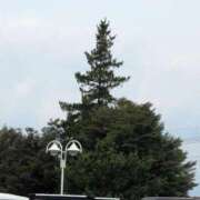 ヒメ日記 2025/08/11 08:31 投稿 さつき 熟女の風俗最終章 沼津店