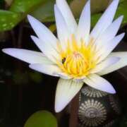 ヒメ日記 2025/08/12 11:18 投稿 さつき 熟女の風俗最終章 沼津店