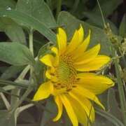 ヒメ日記 2025/08/13 09:17 投稿 さつき 熟女の風俗最終章 沼津店